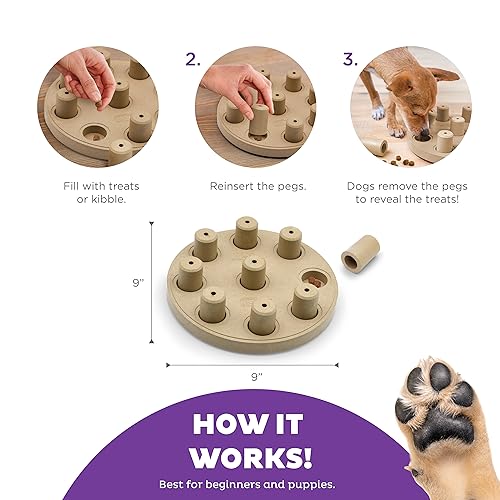 by Nina Ottosson Dog Smart Treat Puzzle Enrichment Toy (Dog Smart Composite (Tan) / One Size)