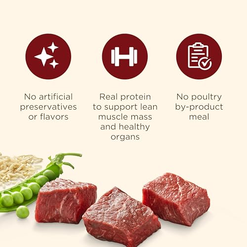 Nutrish Real Beef (14 Pound (Pack of 1))