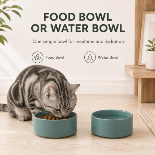 Cat Bowls Set of Two (Dark Green)