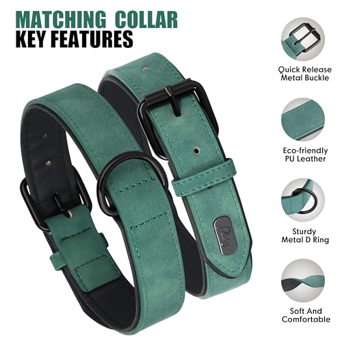 PU Leather Dog Collar and Leash Set (L: Neck 14-18", Width 1" / Green Set)