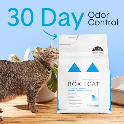 Boxie Premium Unscented Clumping Cat Litter 30+ Day Odor Control 16 lb (16 lb)