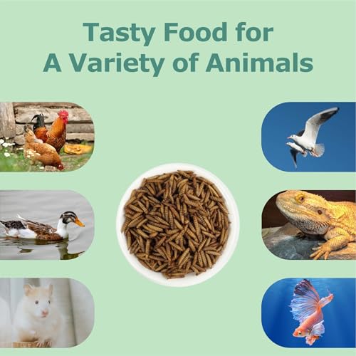 5LB Dried Black Soldier Fly Larvae for Chickens (5 Pound (Pack of 1))