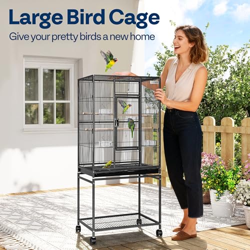 54 Inch Wrought Iron Large Bird Cage with Rolling Stand (Black)