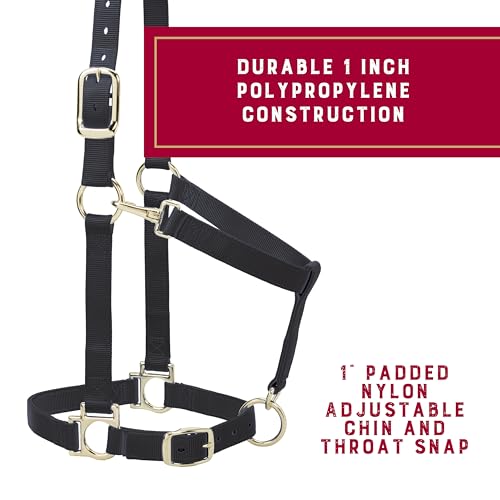 Nylon Horse Halter (Black / 1" Large Horse)