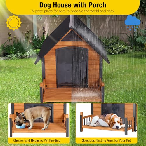 Outdoor Dog House with All
