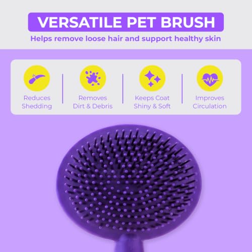 Dog Brush Soft Pin Bristle Pet Brush for Dogs and Cats
