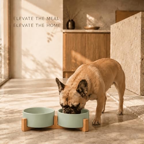 Ceramic Dog and Cat Bowl Set with Wooden Stand (3.6 cups / Morandi Green × 2)