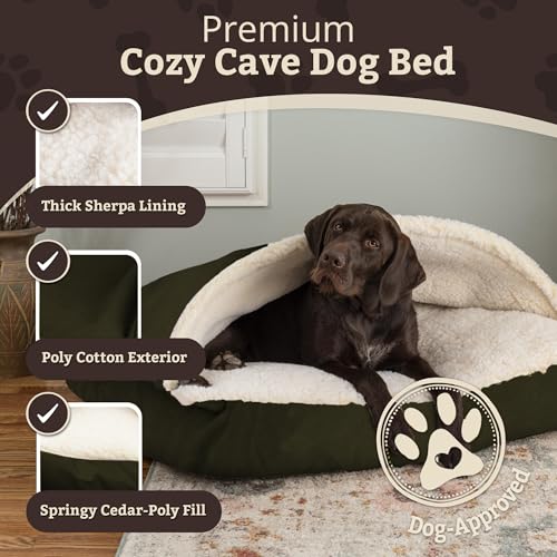 Rectangle Cozy Cave Dog Bed (Olive / Small)
