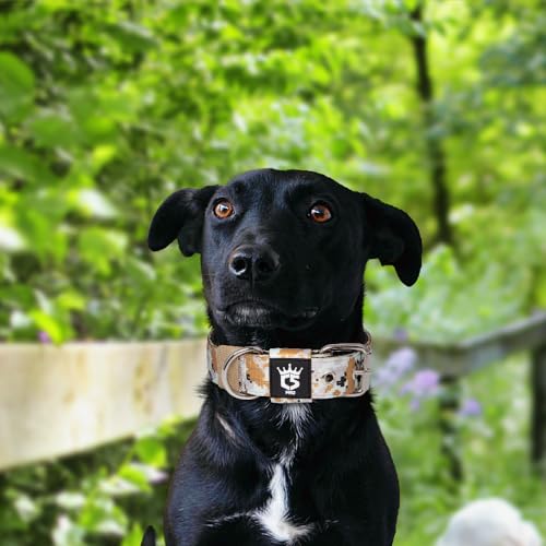 Heavy Duty Thick Dog Collar with Metal Buckle for Small Dogs (S – Fits Neck 12.6"-15.8" / Camo Khaki)