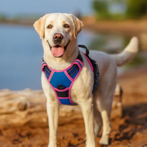 Dog Harness No Pull for Large Dogs with 2 Leash Clips (X-Large / Blue & Hot Pink)