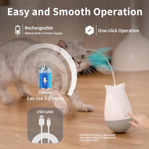 Cat Toys Interactive for Indoor (DPT01)