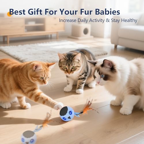 Cat Toys Ball (Sky- Blue)