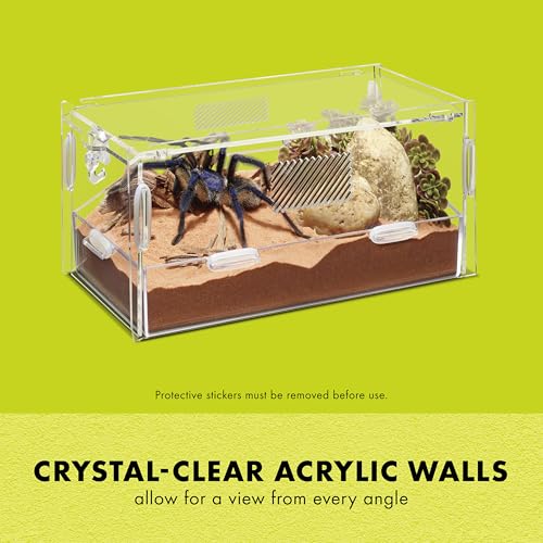 Micro Habitat Terrarium (Small / Terrestrial / Clear)