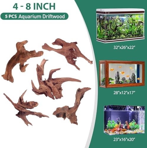 Natural Driftwood for Aquarium Decor (Mopani driftwood （5-8 inch pack of 5）)