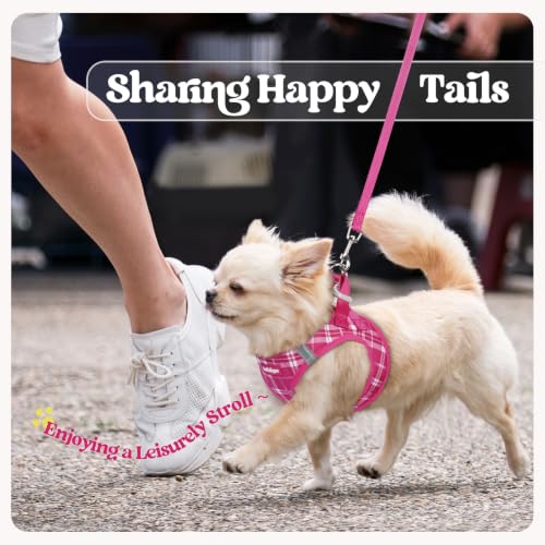 Dog Harness Small Sized and Leash Set (Rose Red Plaid / Xs (chest: 13.3 - 15.5"))