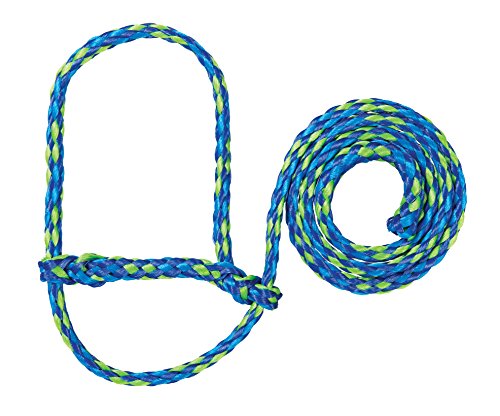 Poly Rope Sheep Halter (Lime/Hurricane Blue/Royal Blue)