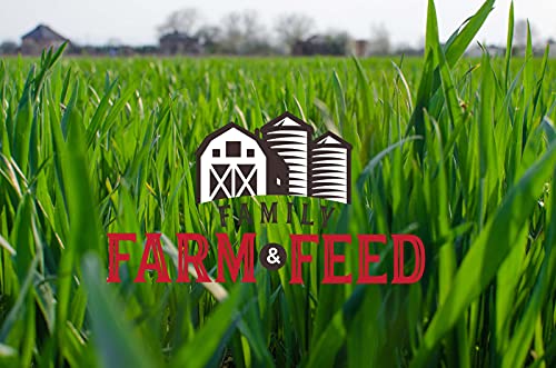 Timothy Grass Food