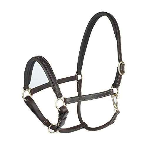 Largo Genuine Leather Horse Halter (Dark Brown / Horse)