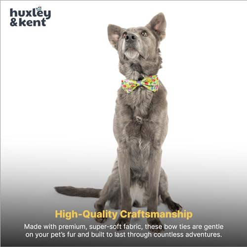 Pet Bow Tie for Dogs & Cats (Large)