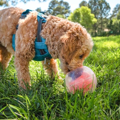 by Nina Ottosson Topsy Treat Ball Dog Puzzle (One Size)