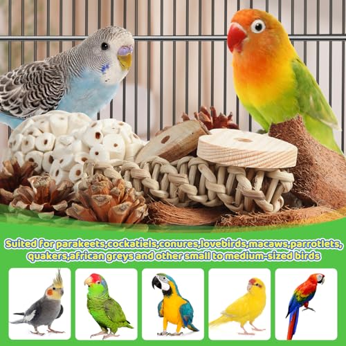 Bird Toys Parrot Natural Bird Foraging Box Foot Toys for Parakeets (Large)
