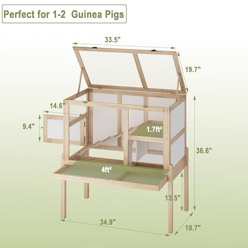 Guinea Pig House for 2 with Stand