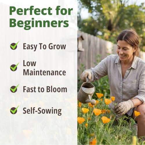 Golden West Poppy 6000 Flower Seeds Eschscholzia californica