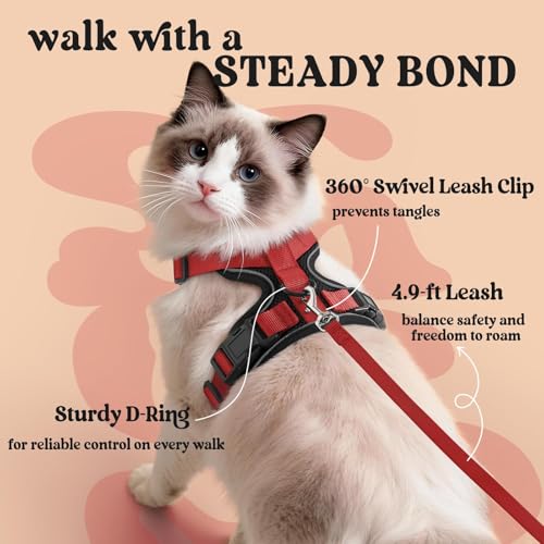 Cat Harness and Leash Set (Xxs / Black & Red)