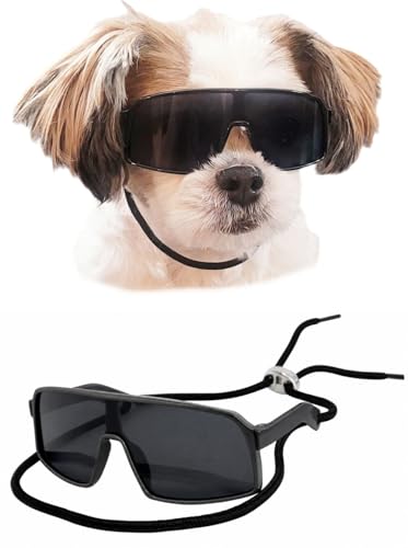 G029 Small Dog Breed 8 (S, 8-18 lbs, Sport Turbo Black)