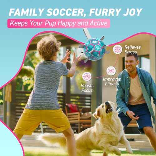 Dog Toys Soccer Ball with Straps (Lake Blue / Medium Size 2 (6 Inch))