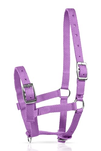 Adjustable Mini Horse Halter (Purple / Foal)