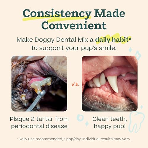 Dental Kit Includes Pupsicle Dog Toy