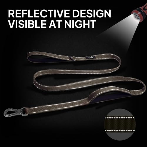 6FT 1IN Heavy Duty Dog Leash for Large Dogs with 2 Padded Handles (Brown / 1 in x 6 ft)
