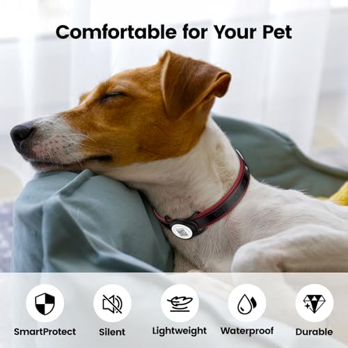 Smart Pet Tracker with QR ID Holder