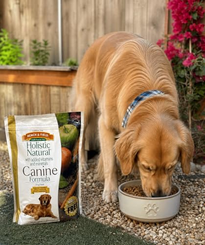Holistic Premium Dry Dog Food (6.6 Pound (Pack of 3))