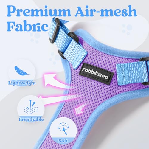 Cat Harness and Leash Set (Purple & Blue / Xs)