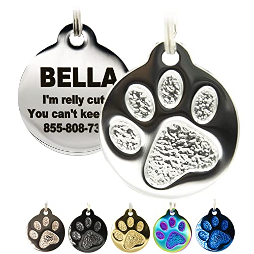 Engraved Pet Tag for Dogs and Cats (Small / Silver)