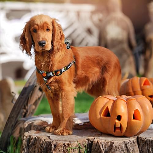 Halloween Dog Harness Medium Sized Step (Black(Ghost) / Medium)
