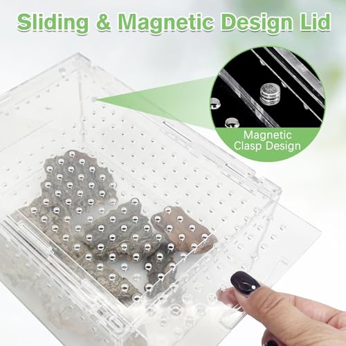 Reptile Terrarium Enclosure 8"x6"x4" Acrylic Tarantula Breeding Box Magnetic Hermit Crab Habitat Transparent Jumping Spider Cage for Insect Snail Amphibians Sling Isopods (S: Standard Version)