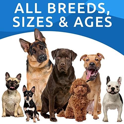 Probiotics for Dogs (Probiotic Chews / 240Ct (Chicken))