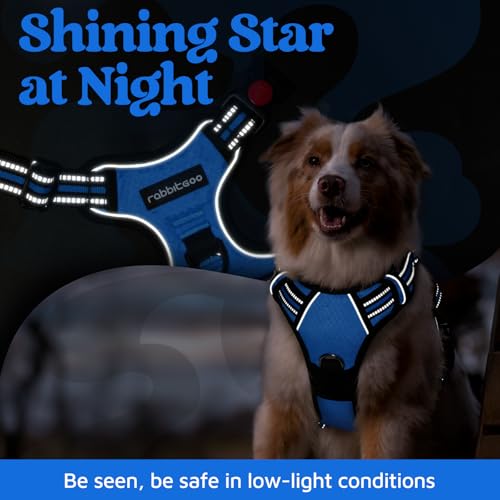 Dog Harness Medium Sized (Blue / Medium)