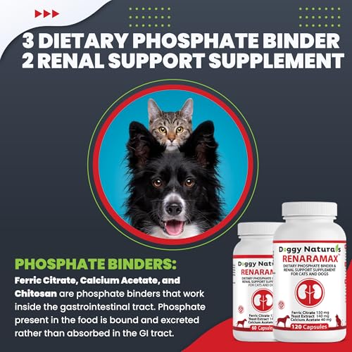 RENARAMAX Dietary Phosphate Binder and Renal Support Supplement for Cats and Dogs Count (60 Caps)