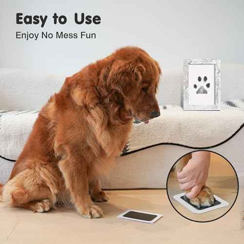Inkless Paw Print Kit for Dogs (Black/Gold Pad,Vintage White Wood Frame / 4-Pack,Medium)