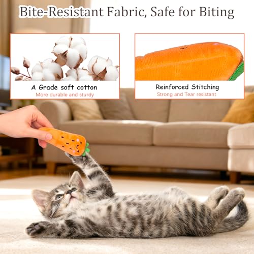 Catnip Cat Toys 5 Pack Vegetable Plush for Indoor Cats (Vegetables Catnip toys 5 Pack)