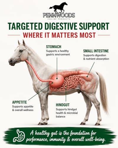 Horse Gut Supplement Ulcer Support Apple Flavor 6lb