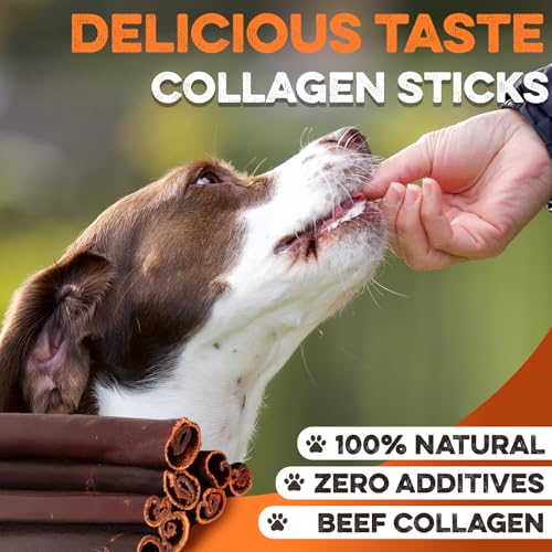 Beef Collagen Chew Sticks for Dogs