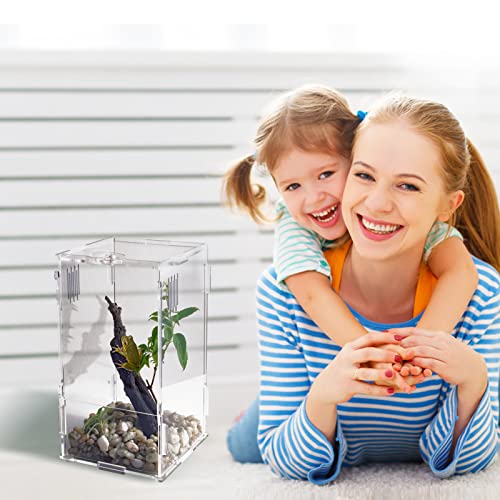 Small Acrylic Reptile Tank Habitat Locking Terrarium 4''x4''x8'' (Small)