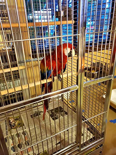 304 Stainless Steel XL Extra Large Bird Parrot Macaw Indoor Outdoor Cage Play Top Medical Grade Stainless SUS304