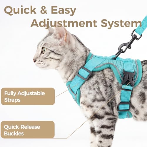 Cat Harness and Leash Set (Turquoise / X-Large)