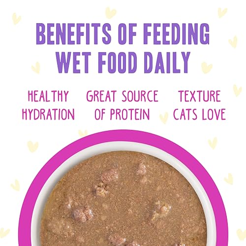 B.F.F. OMG Best Feline Friend Oh My Gravy! (2.8 Ounce (Pack of 12))